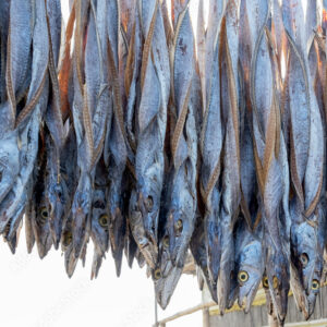 শুকনো মাছ