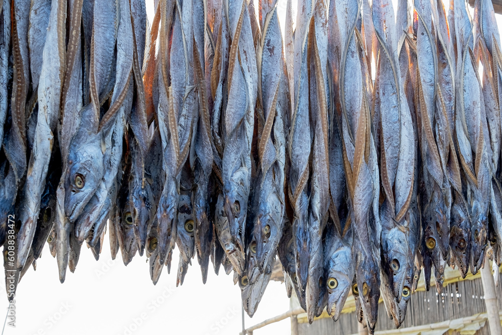 1000_F_608838472_kv1Ioyjf6Q3gExvOmObafq3r2e5v7EOz