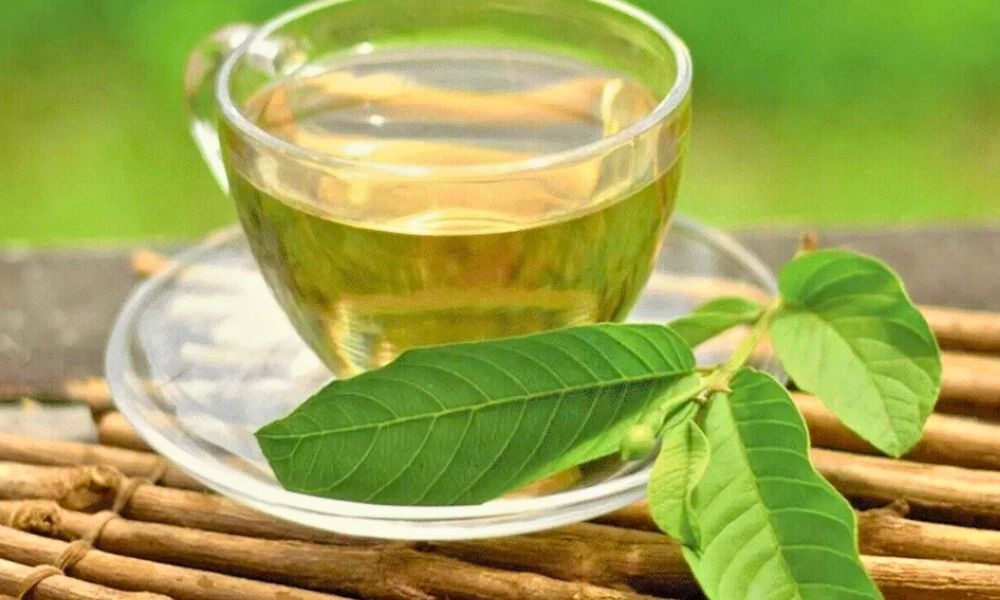 1759333953-caa8e8e539a2e1bb7442807a82e6103e