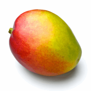 Premium Bari 4 – 10Kg