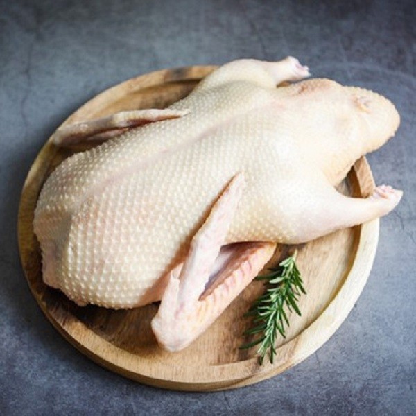 ZKvDNtTEWFPyPopiboMWRUuXAASeRJSbb0wrlZCu