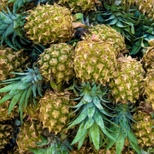 Pineapple