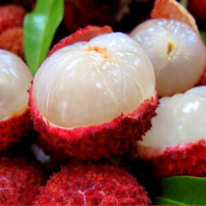 লিচু